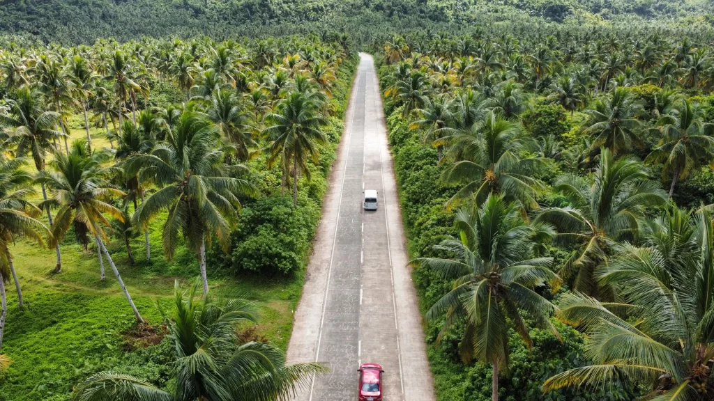 Siargao Palmenstraße