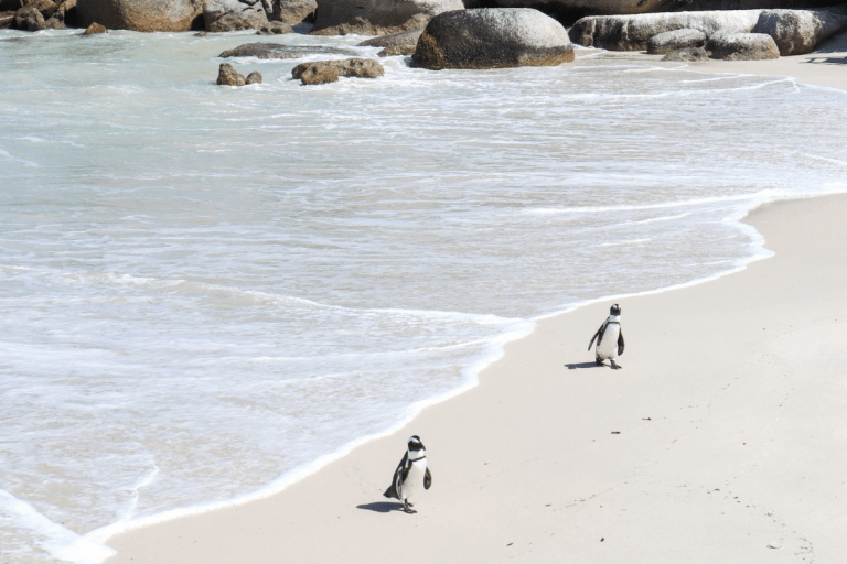 Boulders Beach