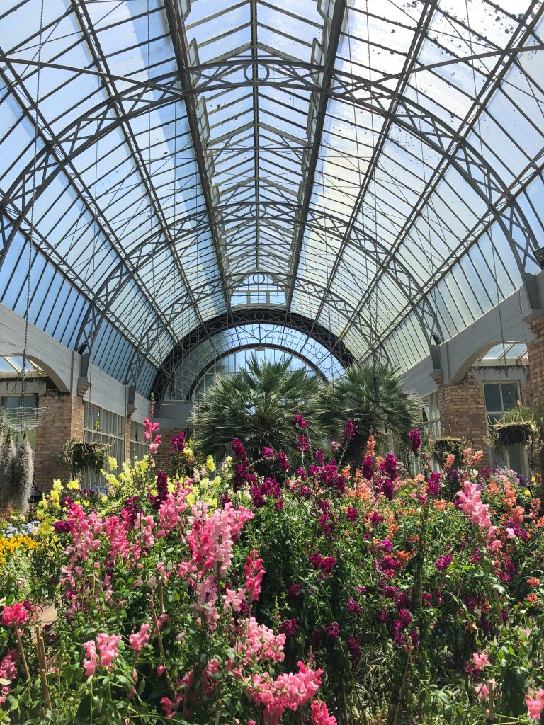 Domain Wintergardens