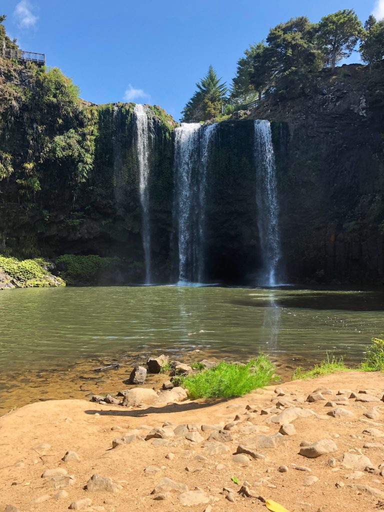 Whangarei Falls