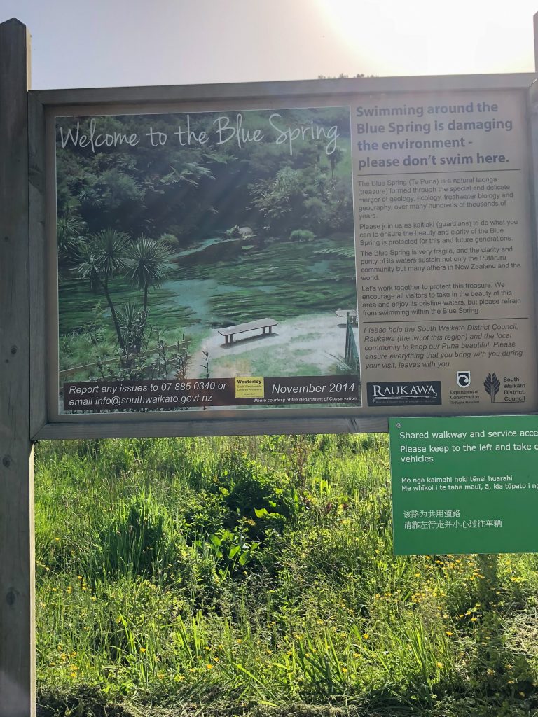 Putaruru Blue Spring