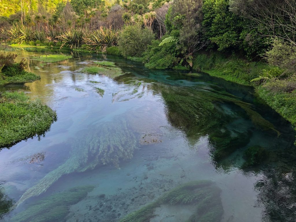 Putaruru Blue Spring, New Zealand