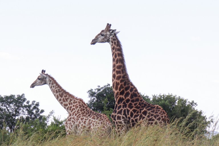 Muluwa Lodge & Spa