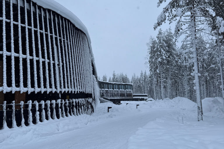 Design ohne Titel(27)