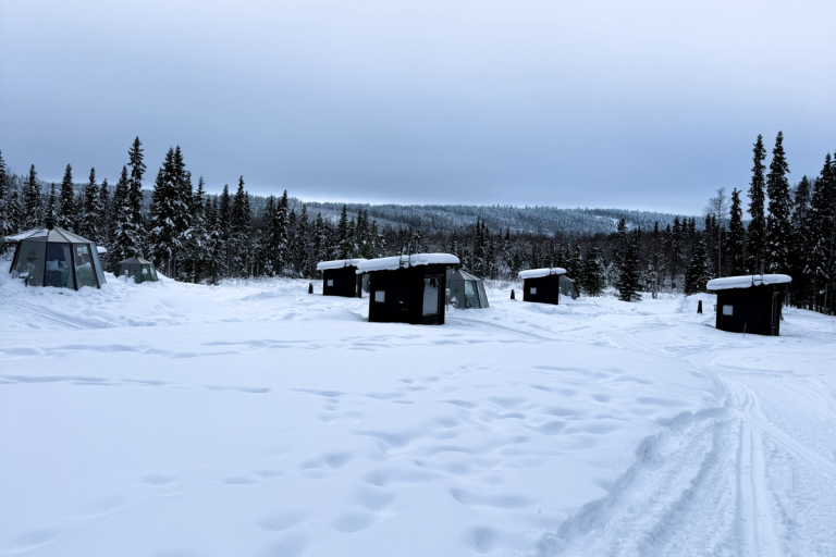 Design ohne Titel(30)