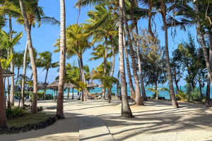 Design ohne Titel(39)